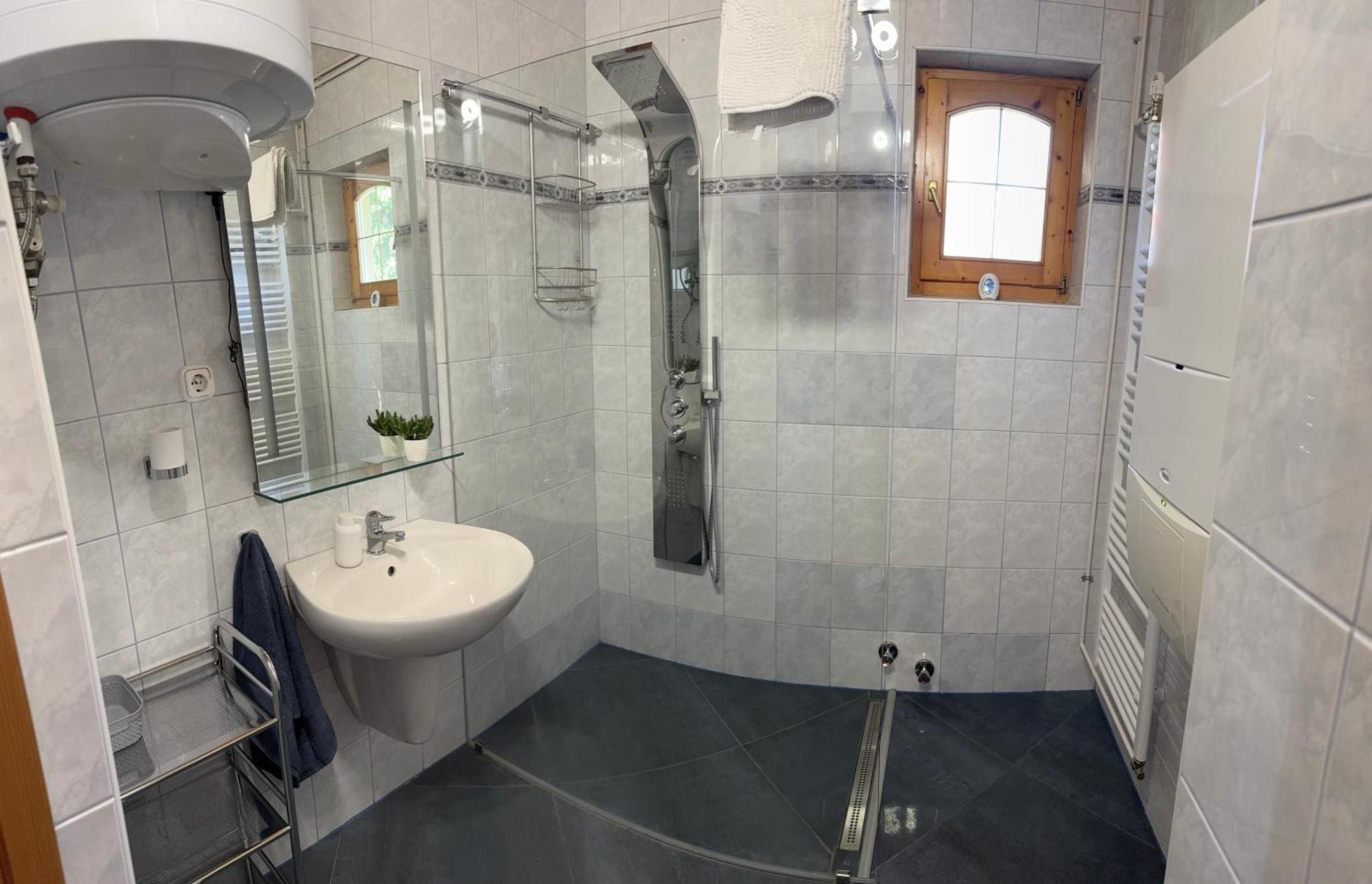 Apartment Vica